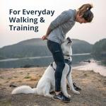 Ruffwear Front Range Reflective Dog Harness - Medium