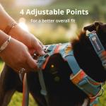 Ruffwear Front Range Reflective Dog Harness - Medium