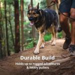 Ruffwear Front Range Reflective Dog Harness - Medium