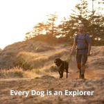 Ruffwear Front Range Reflective Dog Harness - Medium