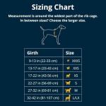 Ruffwear Hi & Light Lightweight Dog Harness, Small