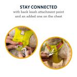 Ruffwear Hi & Light Lightweight Dog Harness, Small