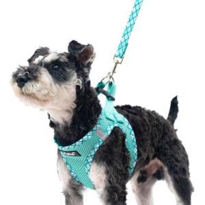 PUPTECK No Pull Dog Harness and Leash Set