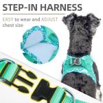 PUPTECK No Pull Dog Harness and Leash Set