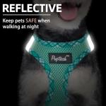 PUPTECK No Pull Dog Harness and Leash Set