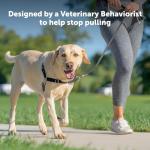 PetSafe Easy Walk No-Pull Dog Harness, Blue