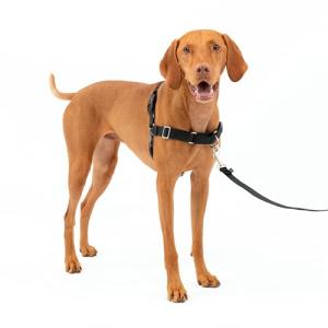 PetSafe Easy Walk Harness for Comfortable, Pull-Free Walks