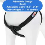 Pawtitas Step-in Dog Harness for Small Dogs