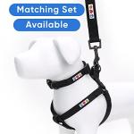 Pawtitas Step-in Dog Harness for Small Dogs