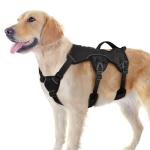 Rabbitgoo Escape Proof Dog Harness for Large Dogs