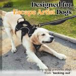 Rabbitgoo Escape Proof Dog Harness for Large Dogs