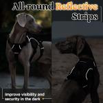 Rabbitgoo Escape Proof Dog Harness for Large Dogs