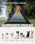 PetThem Folding Dog Ramp - Portable, Extra Wide