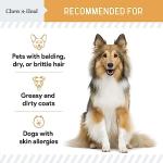 Salmon Oil Soft Chews for Healthy Skin and Coat