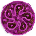 Outward Hound Large Slow Feeder Dog Bowl