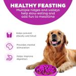 Outward Hound Large Slow Feeder Dog Bowl