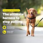 PetSafe Easy Walk Harness for Comfortable, Pull-Free Walks
