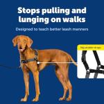 PetSafe Easy Walk Harness for Comfortable, Pull-Free Walks