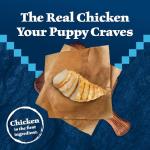 Blue Buffalo Puppy Food with Chicken & Grains