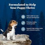 Blue Buffalo Puppy Food with Chicken & Grains
