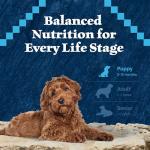 Blue Buffalo Puppy Food with Chicken & Grains