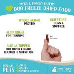 Freeze Dried Chicken Pet Food - Made in USA