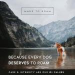 Premium Heavy Duty Dog Collar with Quick-Release Buckle