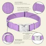 Premium Nylon Dog Collar - 25+ Colors