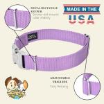 Premium Nylon Dog Collar - 25+ Colors