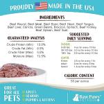 Raw Paws Pet Beef & Veggie Dog Food Rolls