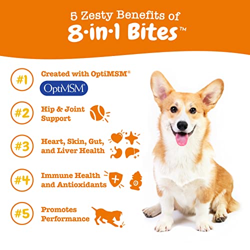 Joint Support Supplements for Dogs - Glucosamine Chondroitin