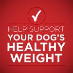 12 Cans of Purina ONE Plus Lamb and Brown Rice Dog Food