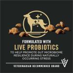 High Protein Beef & Rice Dog Food - 35 lbs