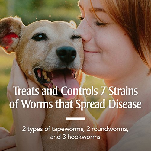 PetArmor 7-Way De-Wormer for Large Dogs & Puppies