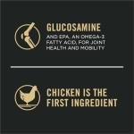 Large Breed Chicken and Rice Dog Food - 34 lbs