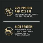 Large Breed Chicken & Rice Dog Food - 34 lb