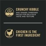 Large Breed Chicken & Rice Dog Food - 34 lb