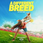 Pro Plan Small Breed Dog Food - Chicken & Rice Blend