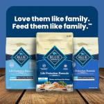 Blue Buffalo Senior Dog Food, Chicken and Rice