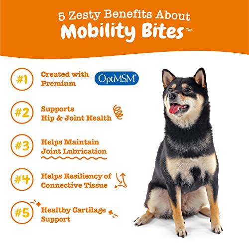 Zesty Paws Bacon Dog Joint Chews