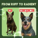 TropiClean Aloe & Coconut Dog Shampoo | Odor Control | Natural | 20 oz