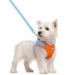Rabbitgoo Small Dog Harness and Leash Set, Blue & Orange