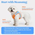 Rabbitgoo Small Dog Harness and Leash Set, Blue & Orange