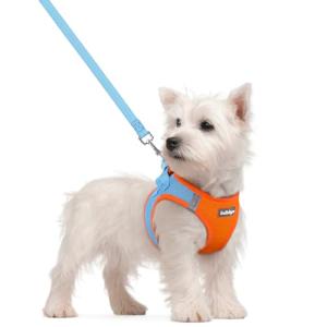 Rabbitgoo Small Dog Harness and Leash Set, Blue & Orange
