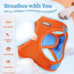 Rabbitgoo Small Dog Harness and Leash Set, Blue & Orange