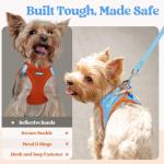 Rabbitgoo Small Dog Harness and Leash Set, Blue & Orange