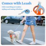Rabbitgoo Small Dog Harness and Leash Set, Blue & Orange