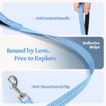 Rabbitgoo Small Dog Harness and Leash Set, Blue & Orange