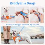 Rabbitgoo Small Dog Harness and Leash Set, Blue & Orange