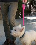 Taglory 16ft Retractable Dog Leash - Pink
